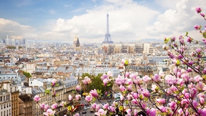 Eiffel Tower, France, Paris, World, 4K wallpaper