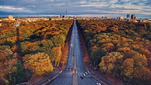 Road, Trees, Photography, Autumn, 4K wallpaper