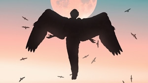 Wings, Artist, Artwork, Digital Art, 4K wallpaper