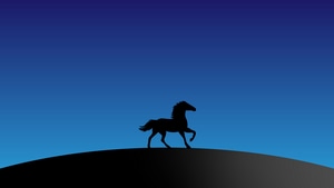 Horse, Silhouette, Minimalism, Minimalist, Artist, Artwork, Digital Art, 4K wallpaper