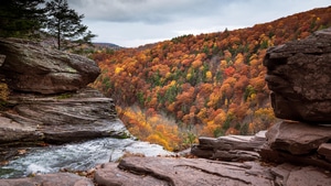Autumn, Waterfall, Nature, 4K wallpaper