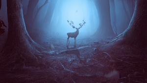 Reindeer, Woods, Forest, Artist, Artwork, Digital Art, Deviantart, 4K wallpaper