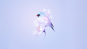 Cute bird, Cherry blossom, Blue aesthetic, Pastel background, Gradient background, HarmonyOS, Stock, 4K wallpaper