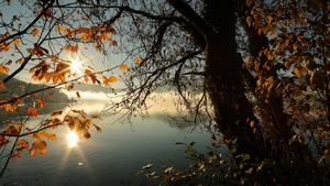 Autumn, Lake, Tree, Nature, 4K wallpaper