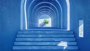 Aesthetic interior, Plant, Blue, 4K wallpaper