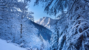 Snow, Alps, Mountains, Nature, 4K wallpaper