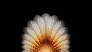 Floral, Abstract design, Geometric, AMOLED, Black background, Oppo Find N5, Stock, Symmetry, 4K wallpaper