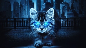 Cat, Animals, Artist, Artwork, Digital Art, 4K wallpaper