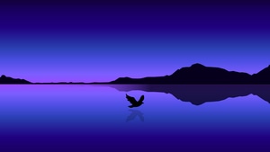 Bird, Minimalism, Minimalist, Artist, Artwork, Digital Art, 4K wallpaper
