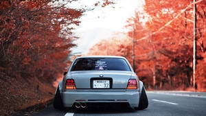Cars, Autumn, 4K wallpaper