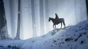 Horse, Forest, Artist, Artwork, Digital Art, Artstation, 4K wallpaper