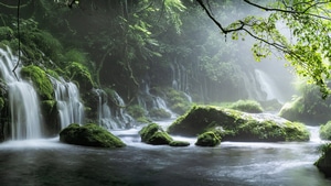 Waterfall, Forest, Nature, 4K wallpaper