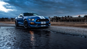 Ford Mustang, Cars, Behance, 4K wallpaper