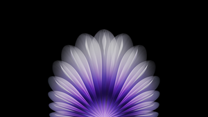 Floral, Purple abstract, Geometric, AMOLED, Black background, Oppo Find N5, Stock, Symmetry, 4K wallpaper