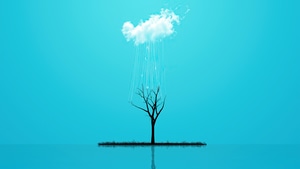 Minimalism, Minimalist, Tree, Artist, Artwork, Digital Art, 4K wallpaper