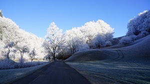 Road, Trees, Nature, 4K wallpaper