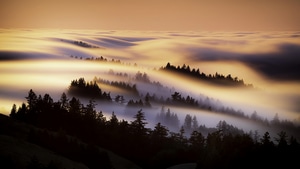 Mist, Morning, Nature, 4K wallpaper
