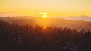 Fog, Sunset, Sunrise, Landscape, Nature, 4K wallpaper
