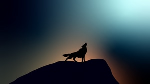Artist, Artwork, Wolf, 4K wallpaper