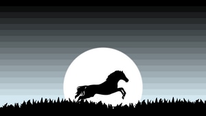 Horse, Minimalism, Minimalist, Artist, Artwork, Digital Art, 4K wallpaper