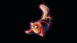 Spider-Cat, AMOLED, Spider-Man: Across the Spider-Verse, 4K wallpaper