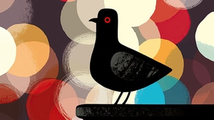 Pigeon, Artist, Artwork, Digital Art, 4K wallpaper