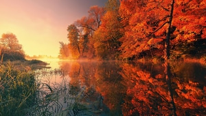 Autumn, Nature, Trees, Reflection, 4K wallpaper