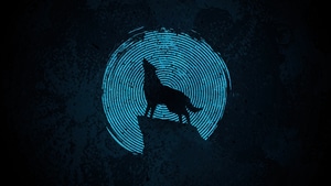 Wolf, Artist, Artwork, Digital Art, 4K wallpaper
