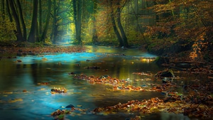 River, Nature, Autumn, 4K wallpaper