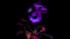 Purple Flowers, Glowing, AMOLED, Black background, Bloom, Darkness, Dark aesthetic, Ethereal, 4K wallpaper
