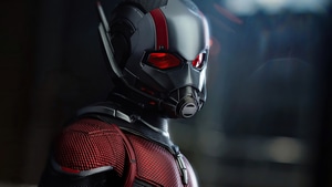 Ant Man, Superheroes, Artwork, Artist, 4K wallpaper