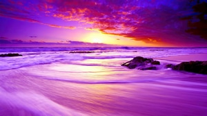 Sunset, Sunrise, Purple, Beach, Nature, 4K wallpaper