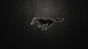 Ford Mustang, Ford, Logo, 4K wallpaper