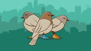 Birds, Minimalism, Minimalist, Artist, Artwork, Digital Art, 4K wallpaper