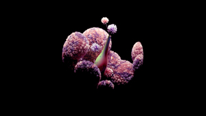 3D, Dark aesthetic, Floral, Black background, AMOLED, 4K wallpaper