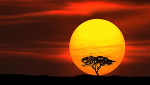 Sunset, Nature, 4K wallpaper