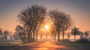 Sunset, Nature, Fog, Trees, Sunrise, 4K wallpaper
