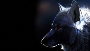 Wolf, Animals, 4K wallpaper