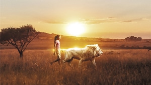 Movies, Lion, 4K wallpaper