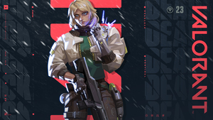 Valorant agent, Deadlock, Sentinel, 4K wallpaper