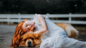 Little Girl, Dog, Sleeping, 4K wallpaper