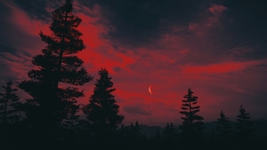 Far Cry 5, Games, 4K wallpaper