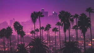 Los Angles, Synthwave, Artist, Artwork, Digital Art, 4K wallpaper