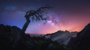 Sunrise, Nature, 4K wallpaper