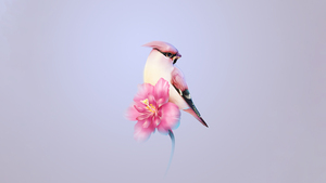 Bohemian waxwing, Pink flower, Huawei Mate X3, Stock, Aesthetic, 4K wallpaper