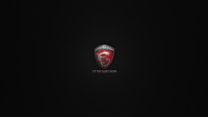 Msi, Gaming, Computer, 4K wallpaper