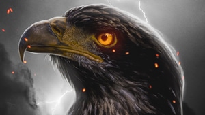 Eagle, Birds, 4K wallpaper