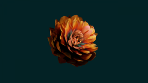Abstract flower, Dark green, Huawei Mate X3, Stock, 4K wallpaper