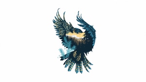 Eagle, Minimalism, Minimalist, Artist, Artwork, Digital Art, 4K wallpaper