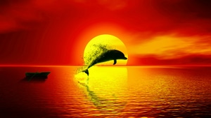 Dolphin, Artist, Artwork, Digital Art, Sunset, Artstation, 4K wallpaper